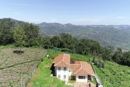 Plot at Sua Serenitea with a forest view