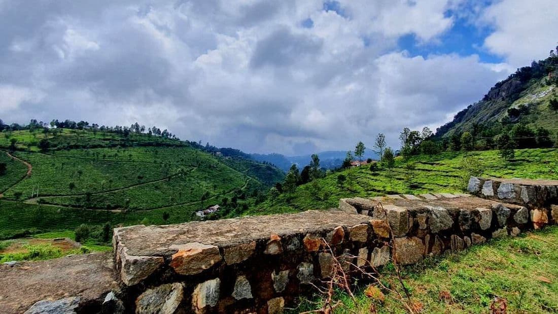 View of the tea estates from the edge of a road