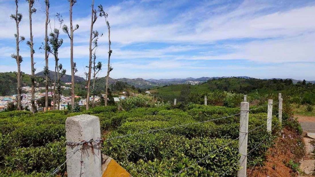 Views of Ellithorai village and the tea estates on a sunny day