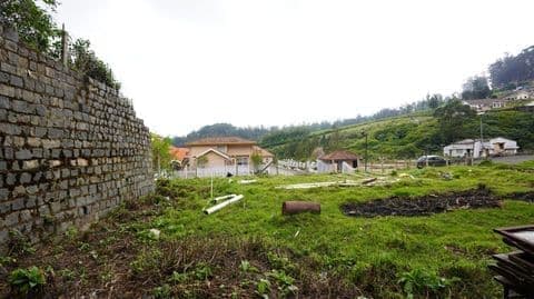 View from the plot