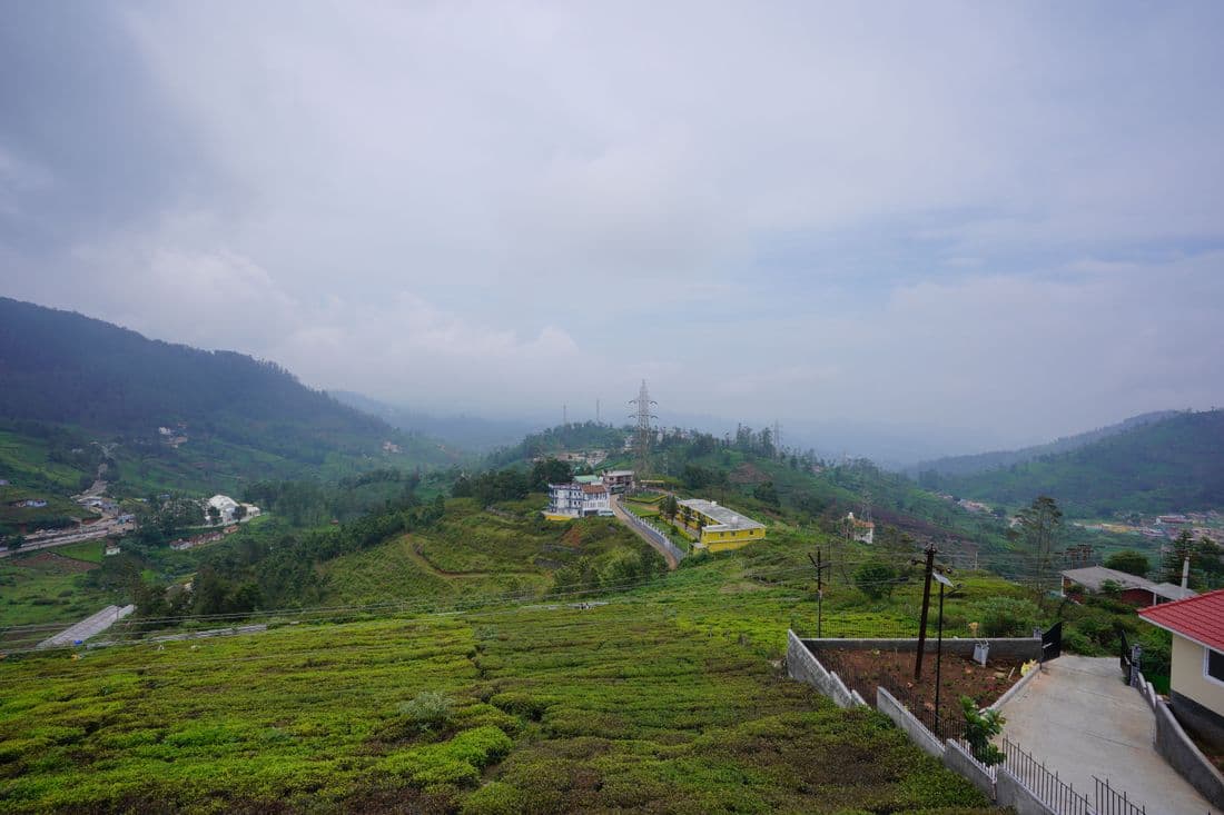 View from the house